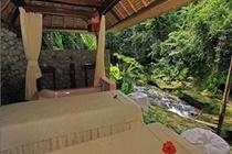Hotel Tjampuhan And Spa Ubud Exterior foto